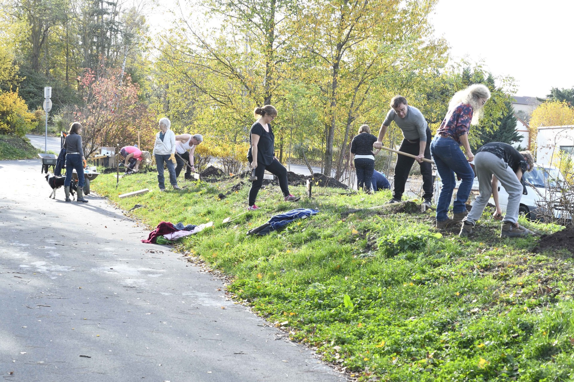 Préparation du terrain