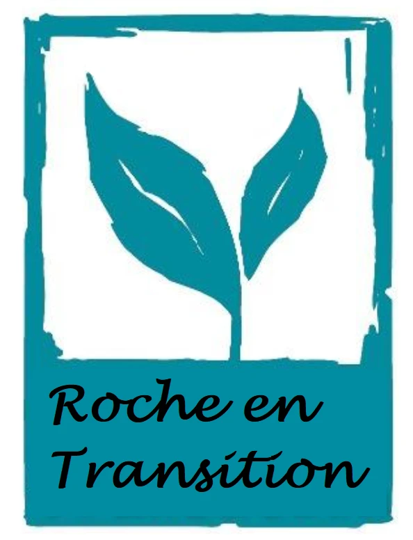ROCHE EN TRANSITION